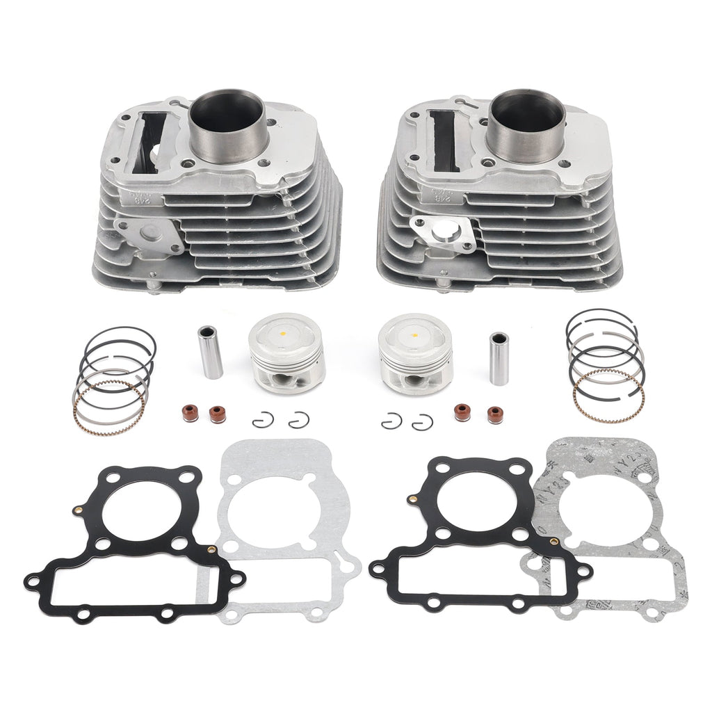 Yamaha XV250 Virago 250 Cylinder Block Piston Assembly 1989-2008 OEM 4DN-11310-00 2UJ-11320-01