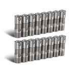 16PCS Valve Lifters For LS1, LS2, LS3, LS7 GM 4.8L, 5.3L, 5.7L, 6.0L, 6.2L Fedex Express Generic