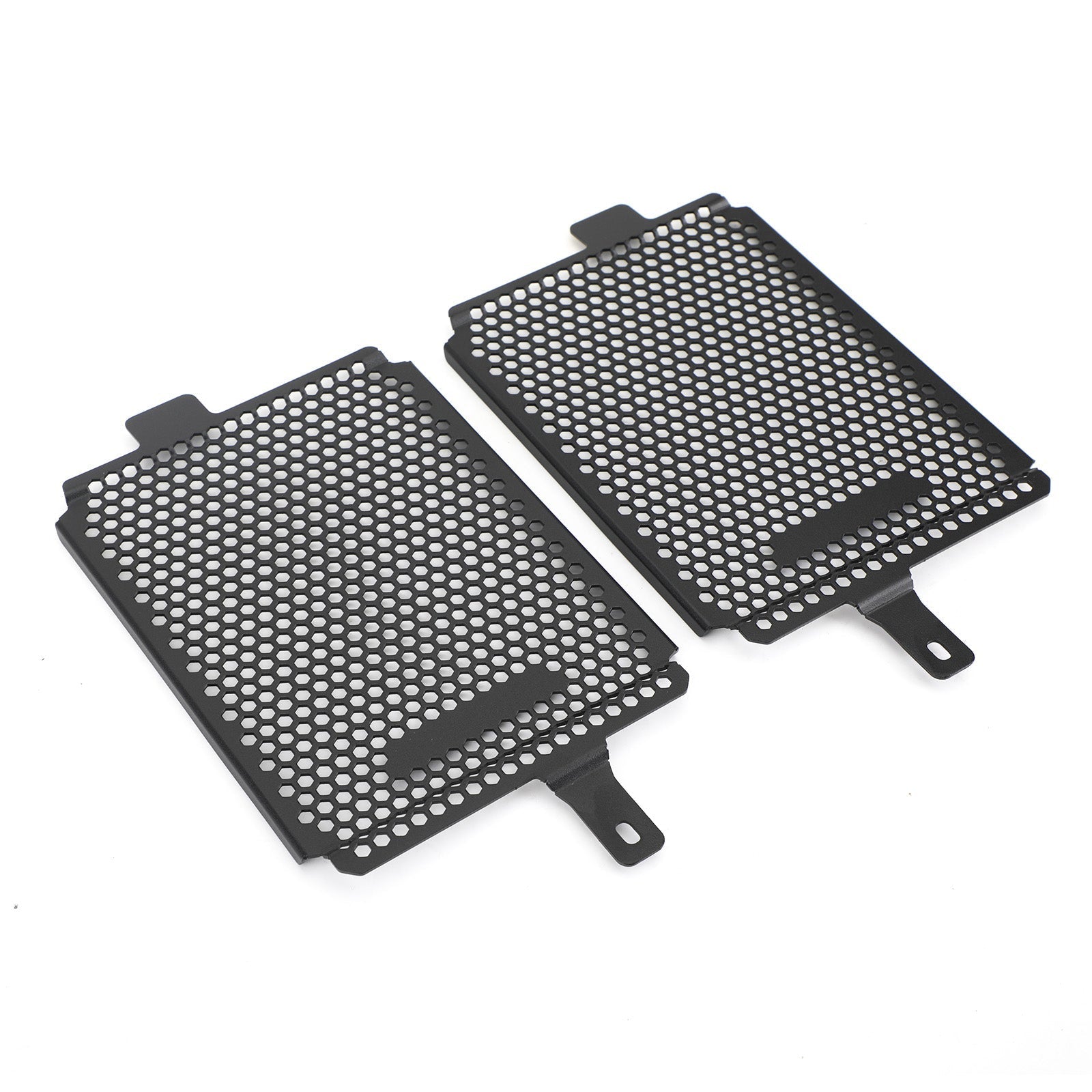 19-20 BMW R1250 GS Adventure Rallye TE Engine Radiator Protective Grill Guard