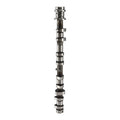 01/2015-06/2018 Ford 1.5 Ecoboost Galaxy III (CK) UNCJ; UNCK 1499 MPV Exhaust Camshaft DS7G-6A268-AA