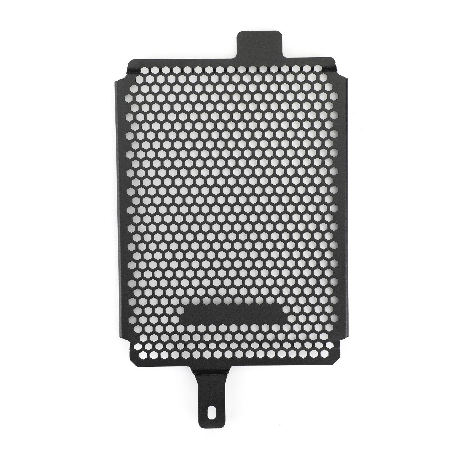 19-20 BMW R1250 GS Adventure Rallye TE Engine Radiator Protective Grill Guard
