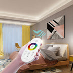 DC 12-24V RGBW LED Strip Lights 2.4G Touch Remote Controller