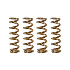 1343868 Knife Spring Set For The Knife Slots On The 22-540 And TP300 Planers