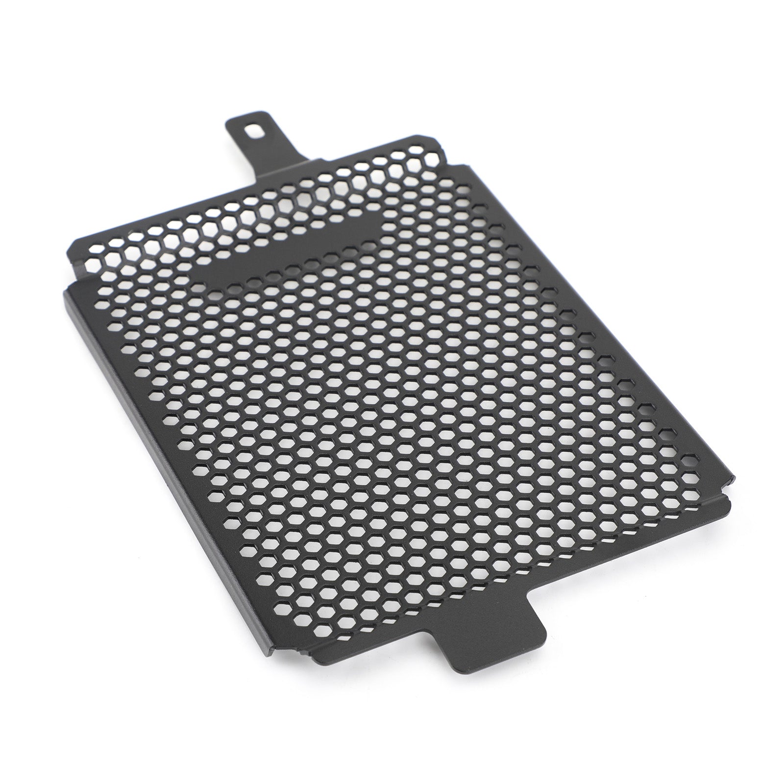 19-20 BMW R1250 GS Adventure Rallye TE Engine Radiator Protective Grill Guard