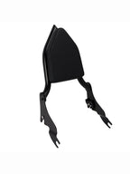 2000-2001, 2009, 2024 CVO Road Glide FLTRSE Passenger Backrest Sissy Bar