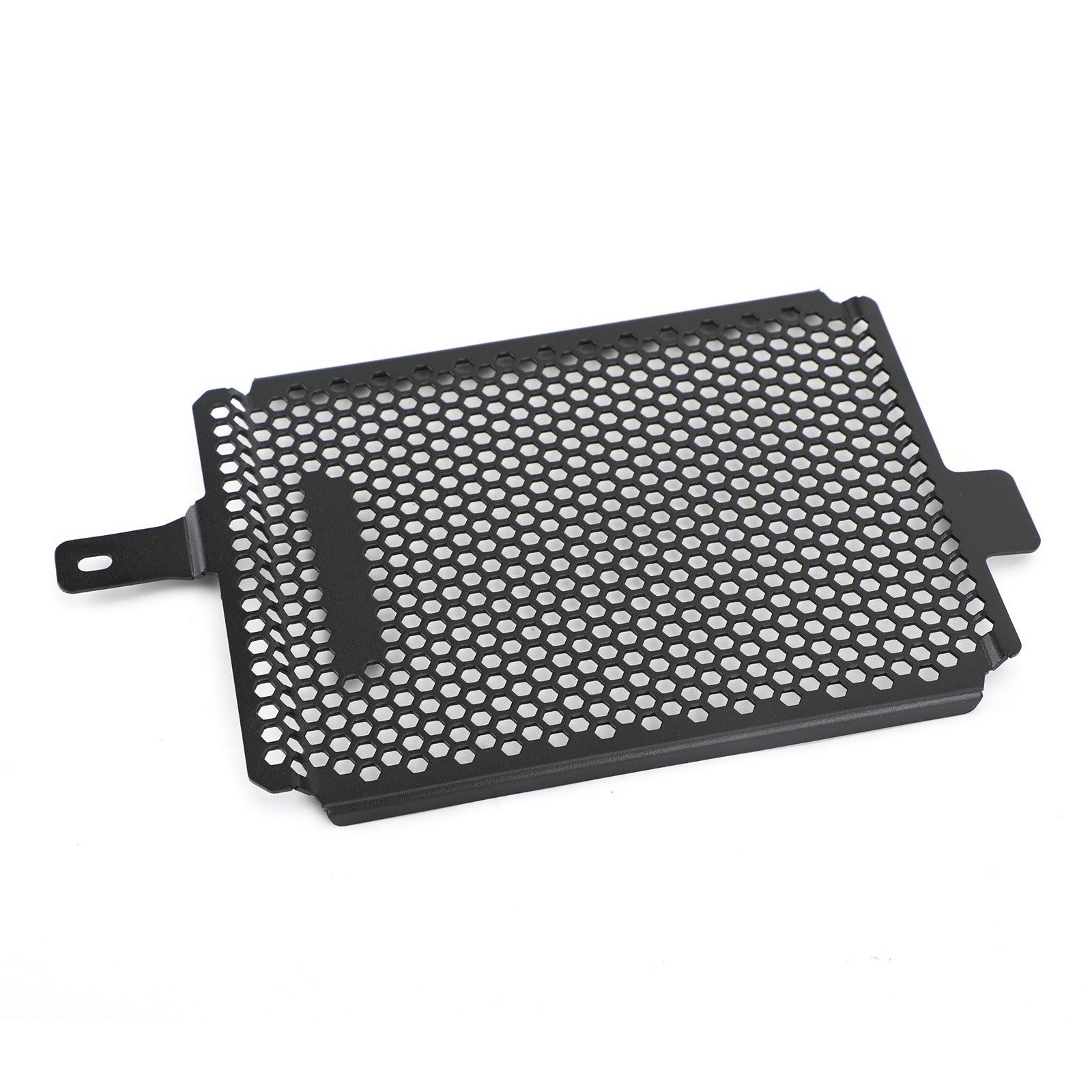 19-20 BMW R1250 GS Adventure Rallye TE Engine Radiator Protective Grill Guard