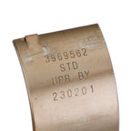 1989 to 2002 Dodge 5.9 Cummins 12/24V Standard Main Rod Bearing 3969562 3802070