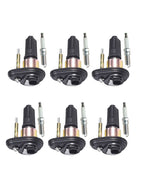 2002-2005 Trailblazer Envoy EXT 4.2L Six Cylinder Ignition Coil Assembly with Spark Plugs UF303