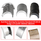 1989-2002 Cummins Standard STD Dodge 5.9 12/24V Rod Main Bearing 3969562 3802070