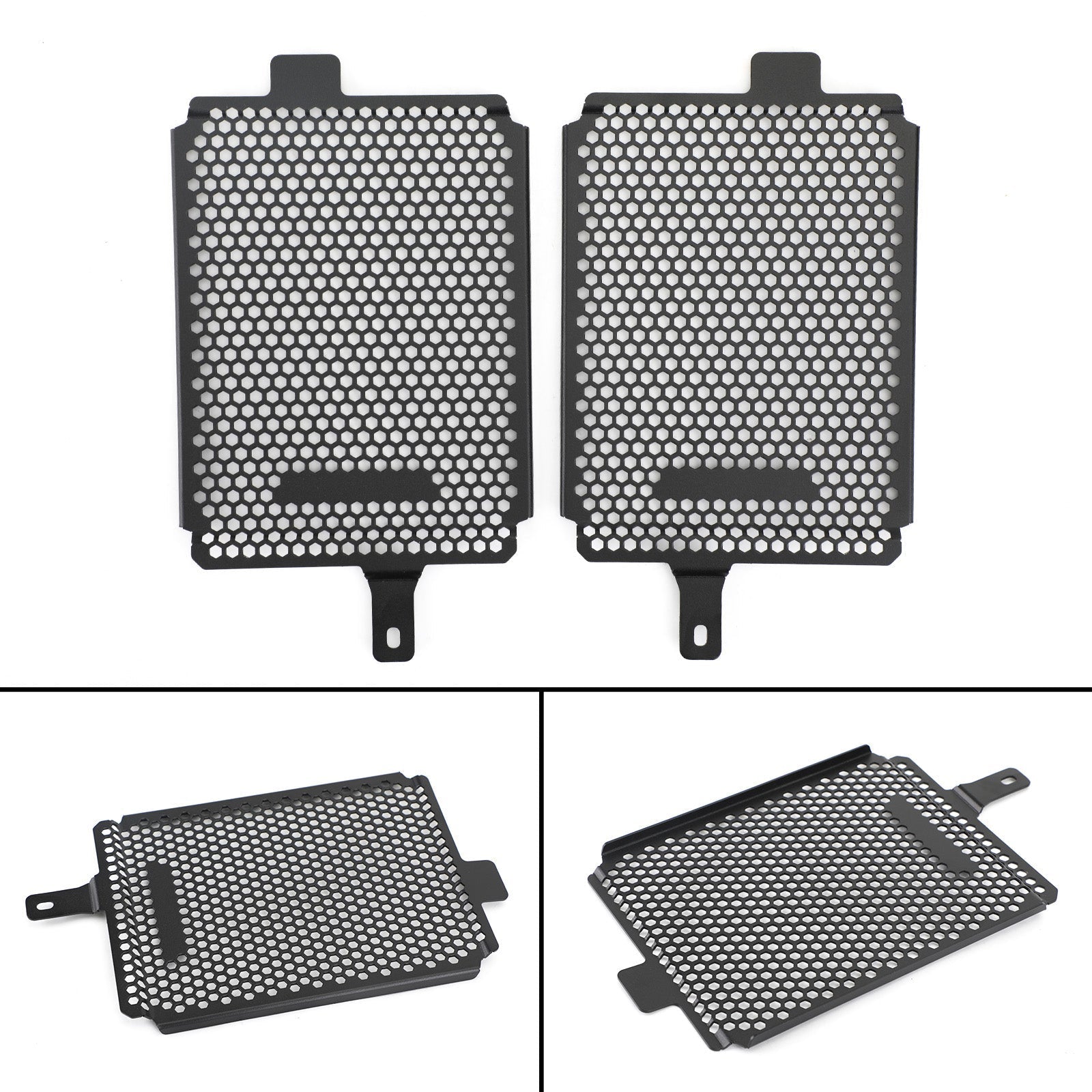 19-20 BMW R1250 GS Adventure Rallye TE Engine Radiator Protective Grill Guard
