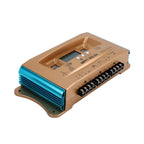 12V-60V 30A-100A Wind and Solar Hybrid MPPT Charge Controller with Dual USB Auto Function