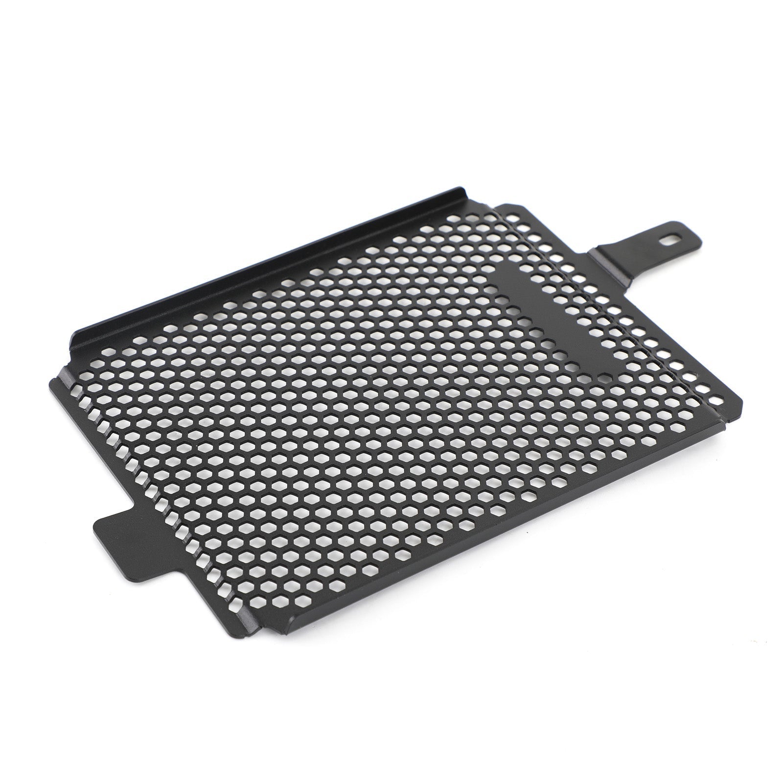 19-20 BMW R1250 GS Adventure Rallye TE Engine Radiator Protective Grill Guard