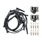 Ford Explorer 5.0L V8 Complete Ignition System 2 Coil Packs 8 Spark Plugs Wires 1996-2001 FD487 SP432