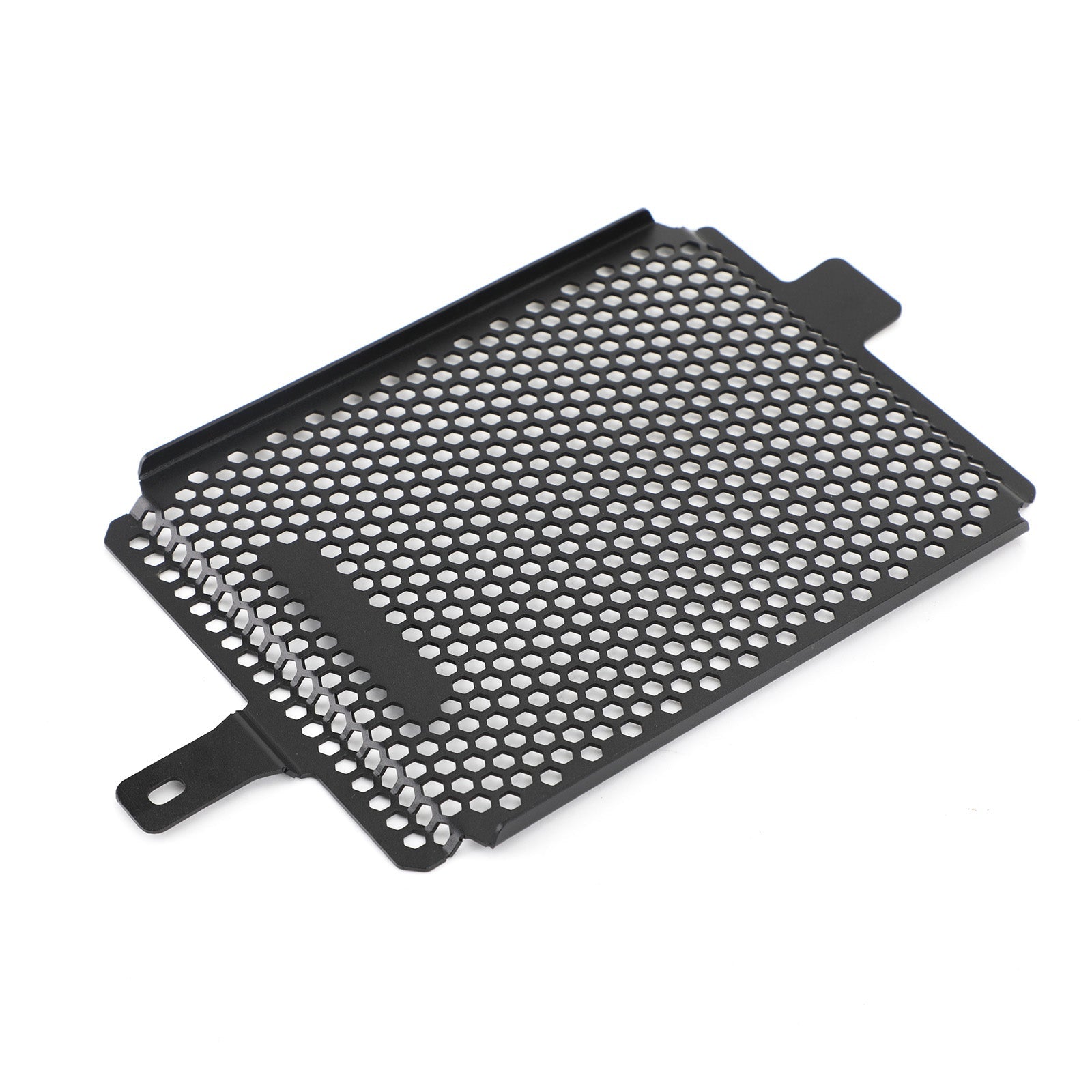 19-20 BMW R1250 GS Adventure Rallye TE Engine Radiator Protective Grill Guard