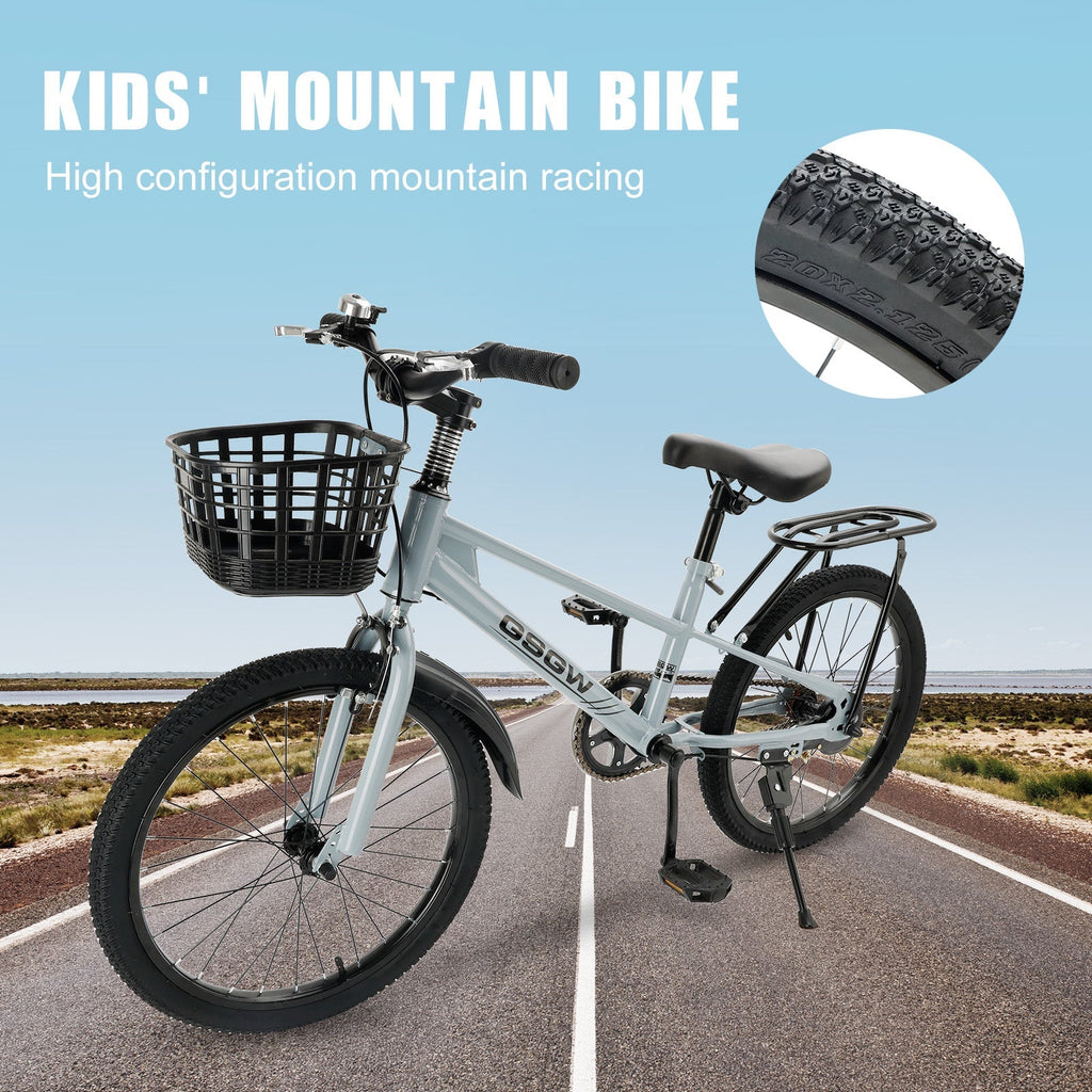 Children's 20 Inch Bicycle with Basket for Boys and Girls Teens