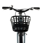 Teen Boys and Girls 20 Inch Kids Bike with Basket