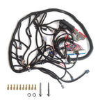 DBC LS Conversion Wiring Harness Standalone 1997-2006 LS1 4L60E 4.8 5.3 6.0 Engine Swap