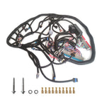 Standalone LS Swap Wiring Harness 1997-2006 DBC 4.8L 5.3L 6.0L LS1 4L60E Compatible