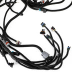 Standalone LS Swap Wiring Harness 1997-2006 DBC 4.8L 5.3L 6.0L LS1 4L60E Compatible