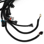 DBC LS Conversion Wiring Harness Standalone 1997-2006 LS1 4L60E 4.8 5.3 6.0 Engine Swap