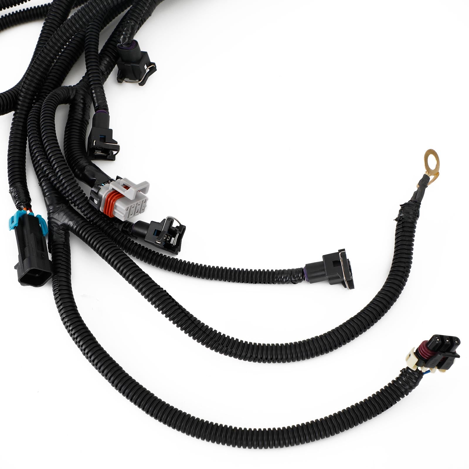 DBC LS Conversion Wiring Harness Standalone 1997-2006 LS1 4L60E 4.8 5.3 6.0 Engine Swap