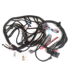 Standalone LS Swap Wiring Harness 1997-2006 DBC 4.8L 5.3L 6.0L LS1 4L60E Compatible