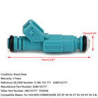 Generic Fuel Injectors for Holden Commodore 3.8L V6 Engine VG Through VY Models