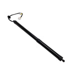 Single Rear Electric Liftgate Strut 905603FY0A Compatible with Infiniti EX35 FX35 FX50 QX70