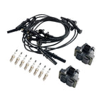 Ford Mustang 4.6L V8 1996-1998 2 Coil Packs 8 Spark Plugs Wires FD487 SP432